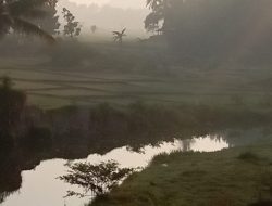 Aktivitas Penambangan Tanah di Pekon Banyuwangi Berpotensi Merusak Ekosistem Sungai