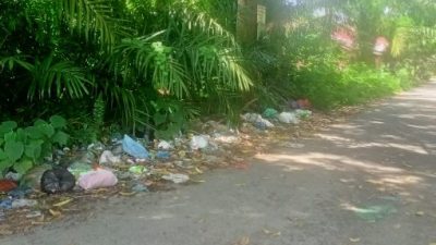 Tercium Aroma Tak Sedap Akibat Tumpukan Sampah di Desa Tanah Bara,