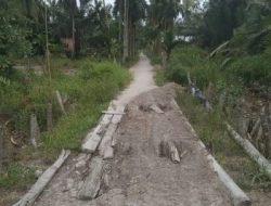 Jalan Parit Lapis Dusun Makmur RT 03 Desa Kuala Indah butuh Perhatian Pemkab Tanjab Barat