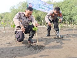 Rangkaian Hut Humas Polri Ke-72,Polres Cirebon Kota Tanam Ratusan Bibit Pohon Mangrove