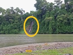 Limbah Cair di Muara sungai sambat Kabupaten Kaur, Diduga Milik Perusahaan ilegal