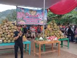 Festival Durian Margosari: Ribuan Hadir untuk Merasakan Kelezatan Durian Khas Pringsewu