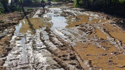 Jalan Lintas Sialang Menuju Roro Rusak Parah, Warga Berharap Ada Perhatian dari Pemerintah Daerah