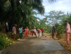 Jalan Perkebunan Hamparan Labu Kembung Batu Belawang Di Bangun