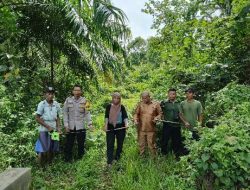 Pemdes Jembatan Dua, Bangun Jalan “Tebat Senin” Sentra Pertanian Dan Perkebunan