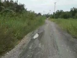 Telan Dana Rp7 M, Begini Kondisi Proyek Peningkatan Jalan Parit Deli-Sungai Dualap TA 2023