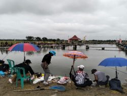 Mancing Mania Adat Desa Panen Padi Desa atau Dijuluki Mapag Sri di Desa Kalimati