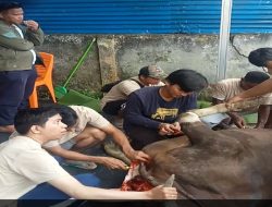 PUPR Tanjab Barat Tahun Ini Qurban 3 Sapi 1 Kambing, Apri Dasman: Berbagi Kebahagiaan di Hari Raya Idul Adha