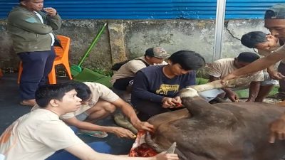 PUPR Tanjab Barat Tahun Ini Qurban 3 Sapi 1 Kambing, Apri Dasman: Berbagi Kebahagiaan di Hari Raya Idul Adha