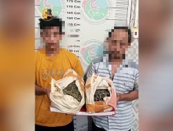 Miliki 2 Kg Ganja, Abang Adik Ditangkap Polres Aceh Tamiang