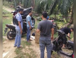 Tim Unit Reskrim Polres Langsa, Kembali Sikat Arena Judi Sabung Ayam Perkebunan Sawit PTPN 1 Kebun Lama