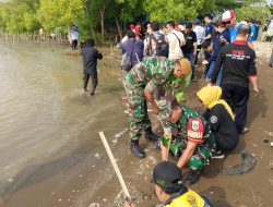 Sukseskan Program Hanpangan, Babinsa Kesenden Lakukan Pendampingan Warga Tanam Kacang Hijau.