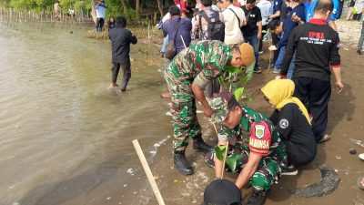 Sukseskan Program Hanpangan, Babinsa Kesenden Lakukan Pendampingan Warga Tanam Kacang Hijau.