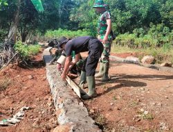 Babinsa Desa Besuki, Bersama Warga Menyatu Dengan Alam Tanam Pohon Penghijauan