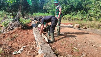 Babinsa Desa Besuki, Bersama Warga Menyatu Dengan Alam Tanam Pohon Penghijauan