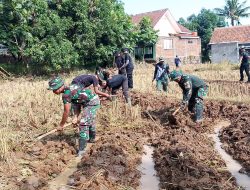 Dukung ketahanan Pangan Satgas TMMD ke-121 Bantu Petani di Sawah