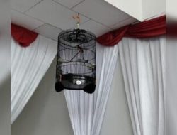 Kantor KPU Tanjabbarat jadi Tempat Burung Piaraan