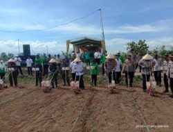 Bondowoso Siapkan Lahan 17.9 Ha demi melestariakan program penanaman Bibit jagung di lahan tidur