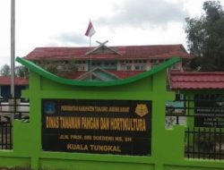 Dinas Pertanian Tanjabbar, Akui Adanya Pemeriksaan Soal Dugaan Korupsi Pupuk Bersubsidi