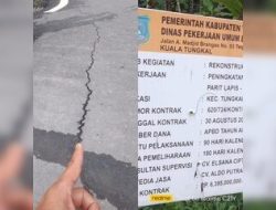 Soroti Proyek Aspal Jalan Parit Lapis SMA 8 Senilai Rp6 M, Ketua AWI Tanjabbarat minta BPK Turun Lakukan Audit