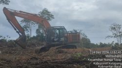 PT SMS, Diduga Gusur Lahan Warga Di Ketapang, Korban Tuntut Keadilan