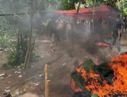 Arena Judi Sabung Ayam Kecamatan Sape, Kabupaten Bima di Bakar Polisi