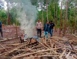 Polres Sintang, Polda Kalimantan Barat Ngamuk Obrak Abrik Aktifitas Judi Sabung Ayam