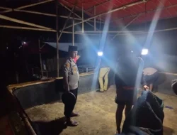 Polisi Gagal Gerebek Judi 303 Sabung Ayam di Sukamaju Kecamatan Sukasari, Kabupaten Subang