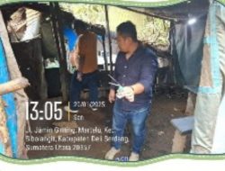 Maraknya Perjudian 303 Sabung Ayam, tembak ikan dan Narkoba di Medan, Polsek Pancur Batu Melakukan Penyelidikan