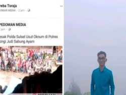 Jurnalis Pedoman Media dapat Ancaman Bakal dibunuh Angkat Berita Sabung ayam di Tator – Sulsel