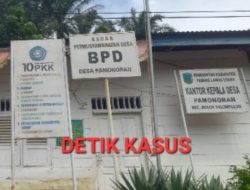 Kaur Keuangan Desa Pamonoran Setelah Diberhentikan Jadi Perbincangan