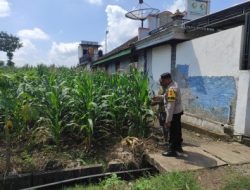 Bhabinkamtibmas Polsek Bubulan Cek Lokasi Pemanfaatan Pekarangan Bergizi