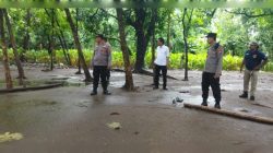 Kapolsek Banyakan Iptu Umar Said : Judi Sabung ayam di Desa Ngesong, Kecamatan Banyakan, Kediri dilarang