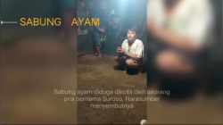 Kasus Sabung ayam di Ngesong, Kecamatan Banyakan, Kediri, Akhirnya di Bubarkan