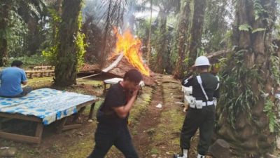 TNI – Polri Bumi Hanguskan Arena Sabung Ayam