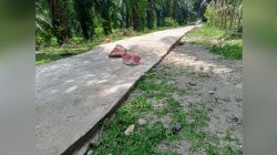 Pembangunan Jalan Rabat Desa Tanjung Dalam, Masyarakat Menyarankan Ipda Kaur Lebih Optimal