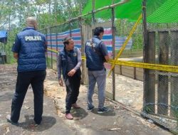 Kabur duluan sebelum Polisi Gerebek Sabung Ayam