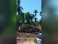 Pengusaha Kilang Kayu Soumil, Diduga Memasukan Kayu iLegal. “Polisi Terkesan Tutup Mata” Alias Kurang Tegas