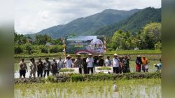 Waka polda Aceh Dan Gubernur, Hadiri Gerakan Tanam Padi Serentak Bersama Presiden.