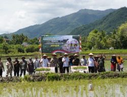Waka polda Aceh Dan Gubernur, Hadiri Gerakan Tanam Padi Serentak Bersama Presiden.