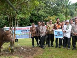 Bupati Humbahas Serahkan Bantuan Sapi Kurban Presiden dan Wakil Presiden Di Kecamatan Tarabintang Dan Parlilitan.
