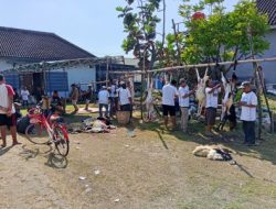 Masjid Al Ikhlas Sambong Dukuh Jombang Sembelih 4 Sapi dan 15 Kambing, Daging Kurban Dibagikan ke 500 Warga