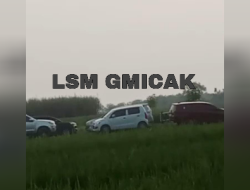 Perjudian Sabung Ayam di Kedungpring Lamongan diduga ada Beking TNI AD, Tak Tersentuh Hukum