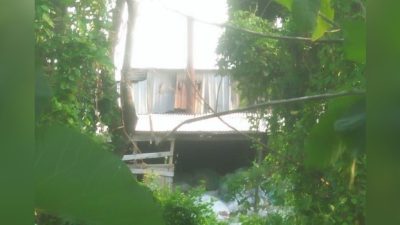 Ketua Umum LSM Gmicak Soroti Limbah Pabrik Penggilingan Bulu Ayam di Desa Minohorejo, Kecamatan Widang