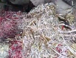 Pembakaran Limbah B3 Grenjeng Foil di Dusun Tenggor, Desa Modopuro, Kecamatan Sumobito di Soal LSM Gmicak