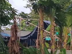 Wartawan Dicegat dan Dijagal Dilarang Masuk, Judi Sabung Ayam di Bunder, Blok Tengah, Kecamatan Kedokan Bunder, Kapolsek Harap Tindak Tegas