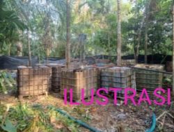 Terkait Kutipan Liar 40 Ribu Di Alue Canang, Sumber Masyarakat Berinisial “R” Bantah, “Tidak Ada Kutipan Liar