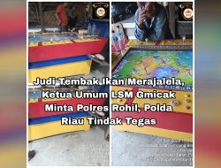 Judi Tembak Ikan Merajalela, Ketua Umum LSM Gmicak Minta Polres Rohil, Polda Riau Tindak Tegas